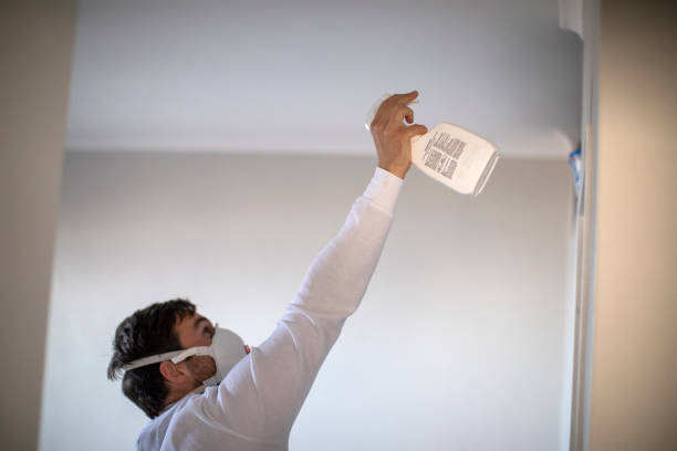 Best Professional Mold Removal  in Pleasant Run Farm, OH