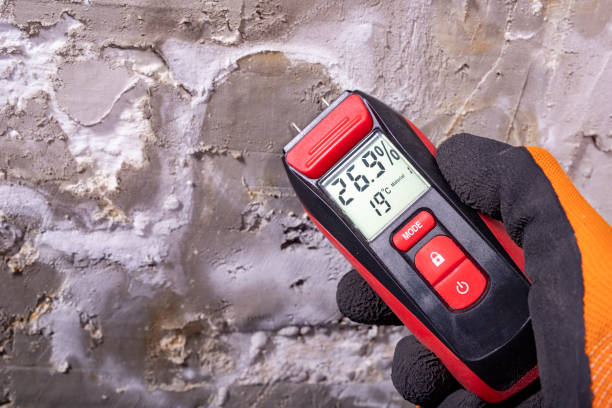Best Toxic Mold Removal  in Pleasant Run Farm, OH