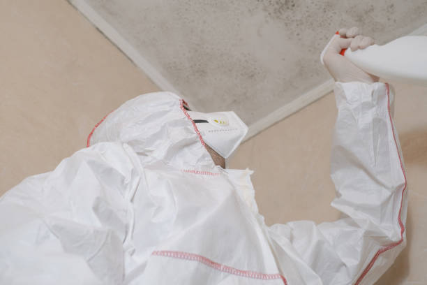 Best Attic Mold Removal  in Pleasant Run Farm, OH