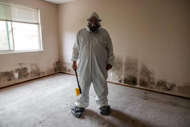 Certified Mold Removal in Pleasant Run Farm, OH